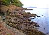 The shoreline below Limestone Point Guest Cottage is rocky, with a small pocket beach at low tide.