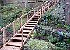 Stairs from a circular drive lead you down through a garden to the front porch.