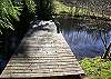 Lone Duck  pond and its dock, located across the field, is magical and secluded.