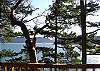 Klahowya #138 Lopez Island