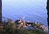You'll enjoy watching a variety of birds and other wildlife. Sorry, shoreline is not accessible.