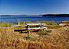 What a spot for a picnic!