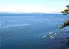 From the deck you can watch kayakers trailing a pod of whales.