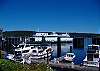 San Juan Island, Cannery Village #106