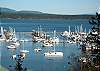 Cute Condo in Town with View of the Port of Friday Harbor