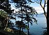 Casual Waterfront Cabin Near Ferry Landing on Lopez Island. Shy Raven #139