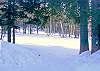 Trail-Thumbnail