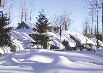 Killington Townhouse rental - Exterior Photo - The Woods