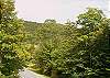 View-Thumbnail