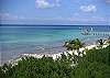 Beautiful Beach for walking&nbsp;