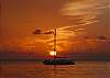 Sunset View&nbsp;
