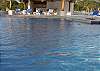 Close-up of the Pool&nbsp;