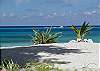 Alegria Beach&nbsp;
