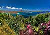 And what a view it is! Watch lazy clouds form over Tortola and the east end of St. John while contemplating the timeless beauty of the islands.