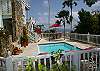 The 11x15 foot swimming pool is very private. Native palms rise right up through the deck while cushioned lounge chairs are ready for use.
