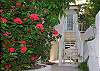 A set of stairs leads to the lower level of the main house amongst lush gardens.