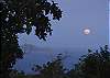 Mooncottage is beyond compare. Whether your goal is to hibernate from work stresses, or have the romantic getaway of a lifetime, your dreams will come true at Mooncottage.