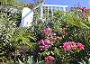 Your entrance to paradise-a charming  hand crafted gate takes you to St. John Passion. The stone garden steps are bordered  with the brilliant colors of the Caribbean: hibiscus, oleander and bougainvillea.
