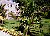 A few steps down from the pool deck is the spacious, freshly manicured lawn-enjoy a game of Frisbee or just take a stroll, exploring the natural fauna.