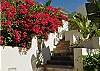Welcome to Casa Mare- where gorgeous Bougainvillea adorns the entryway and invites you to relax amidst the tropical nature of St. John!