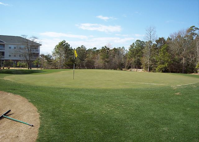 There are 4 golf course on site at Barefoot Resort, all open to the public.