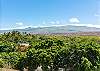 View of the Kohala Mountains from the property