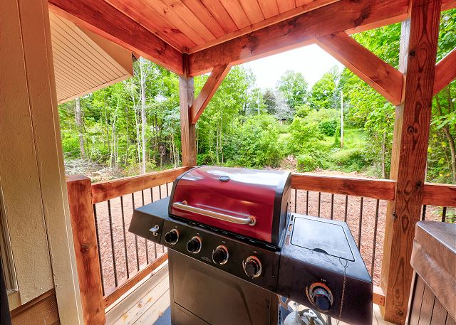 Outdoor gas grill