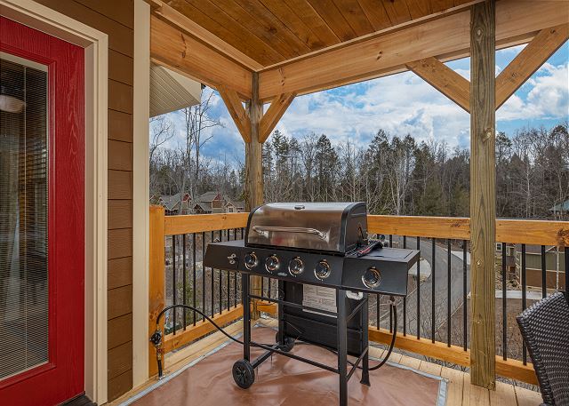 Gas Grill