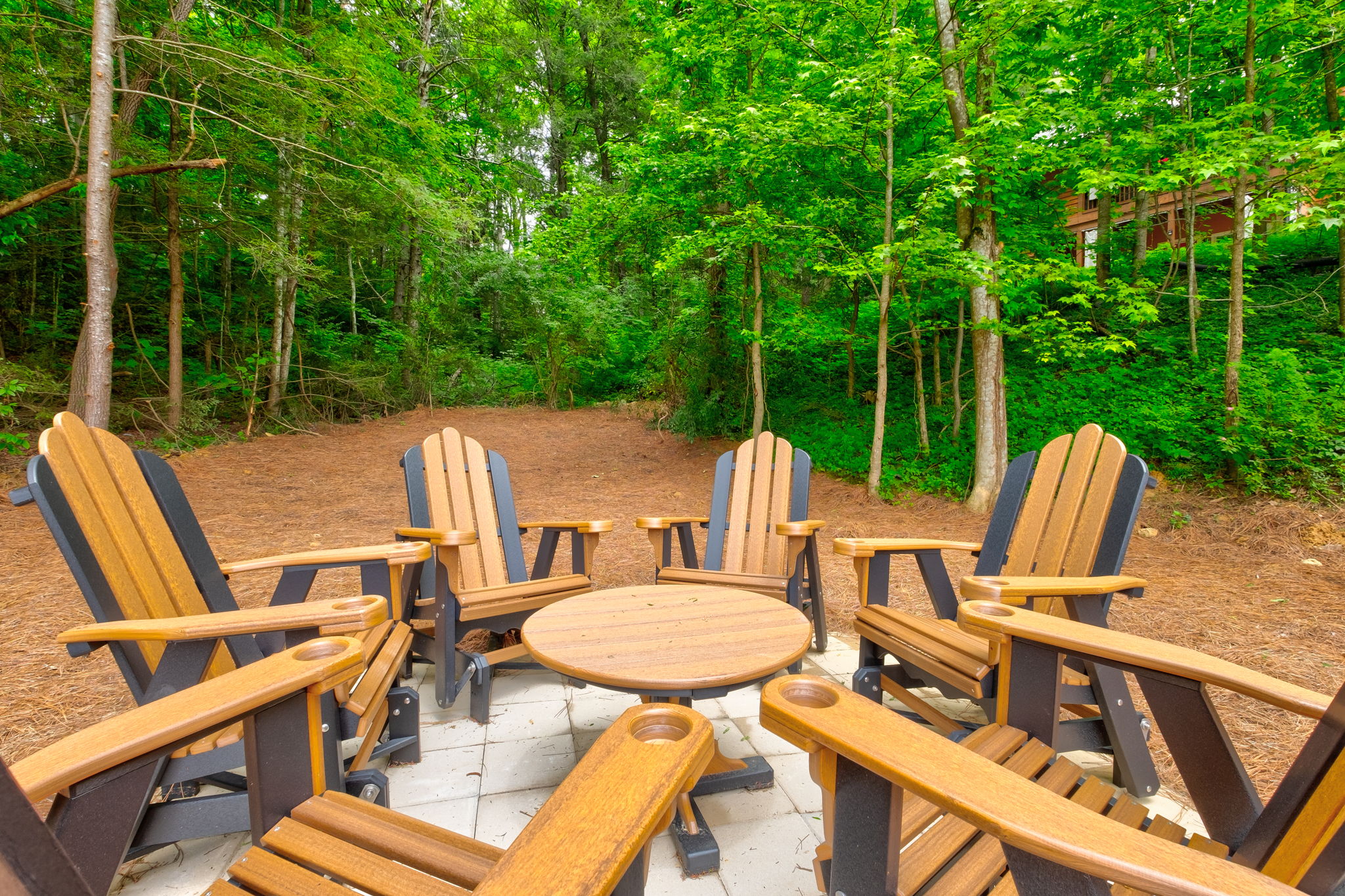 Ivie Holler | Photo 20