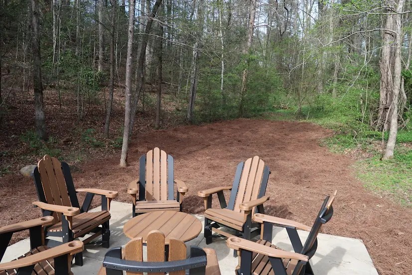 Ivie Holler | Photo 42