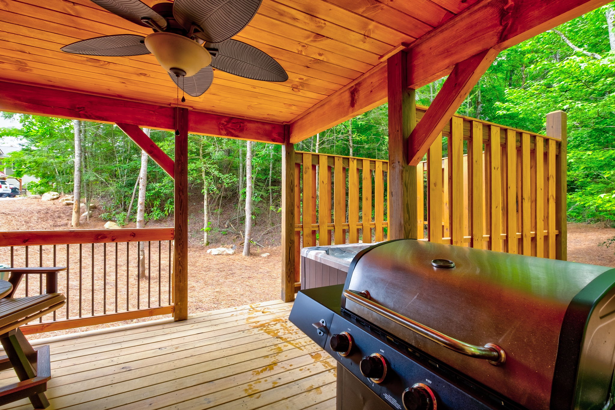 Ivie Holler | Photo 17