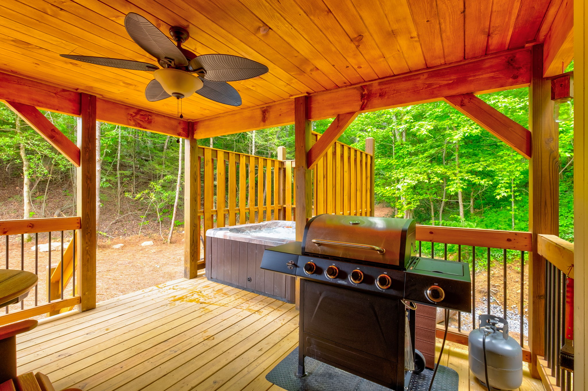 Ivie Holler | Photo 21