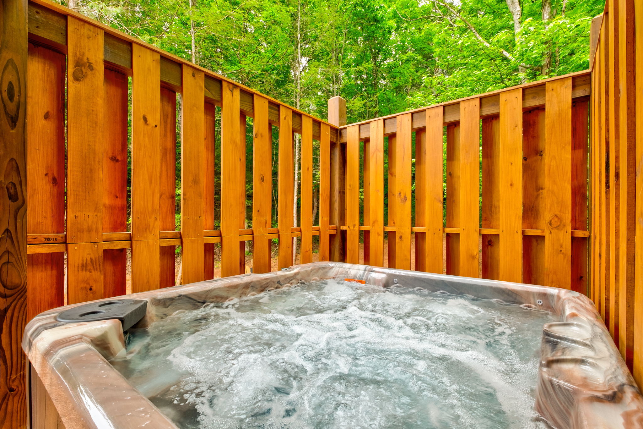 Ivie Holler | Photo 19