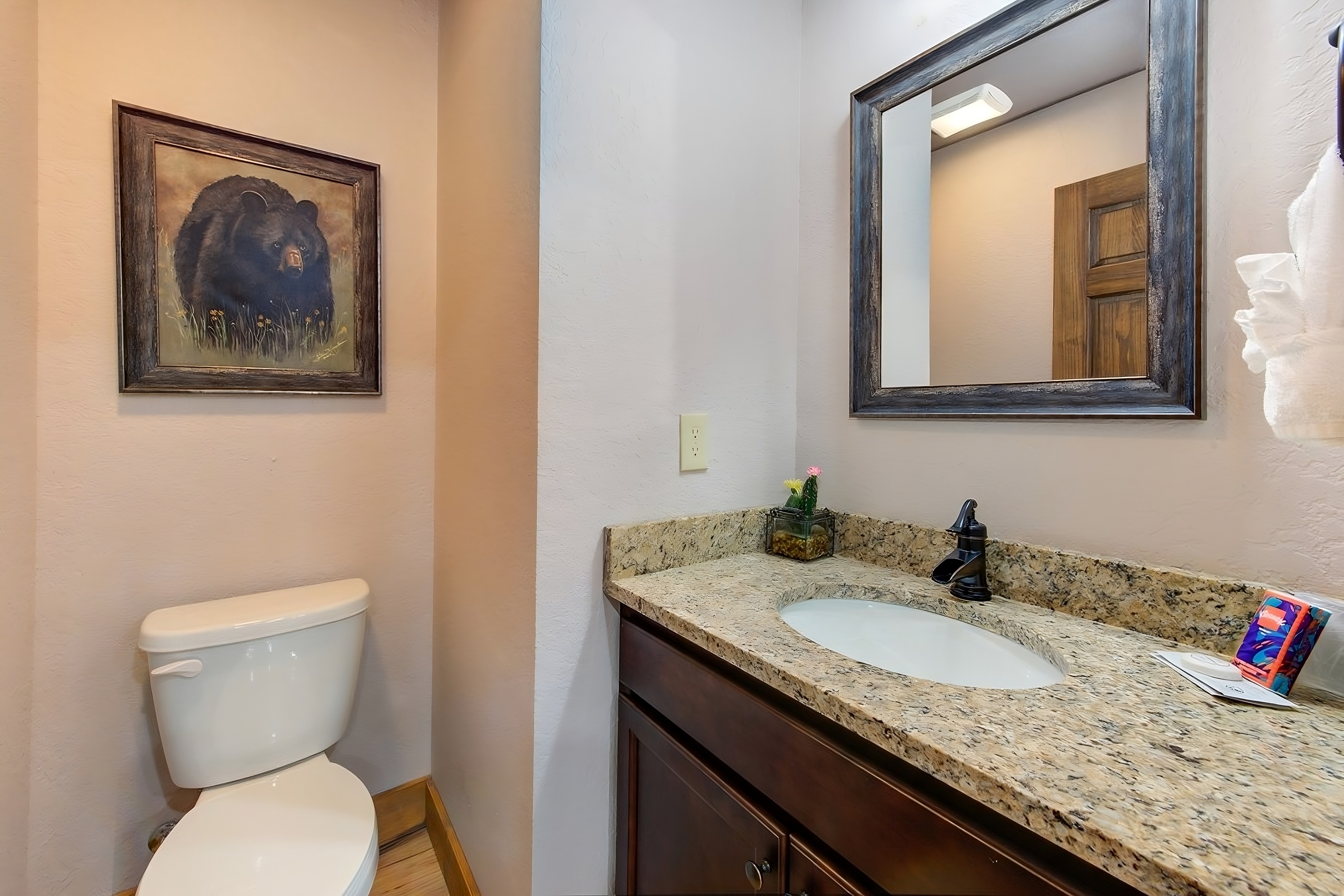 Running Bear | Photo 17