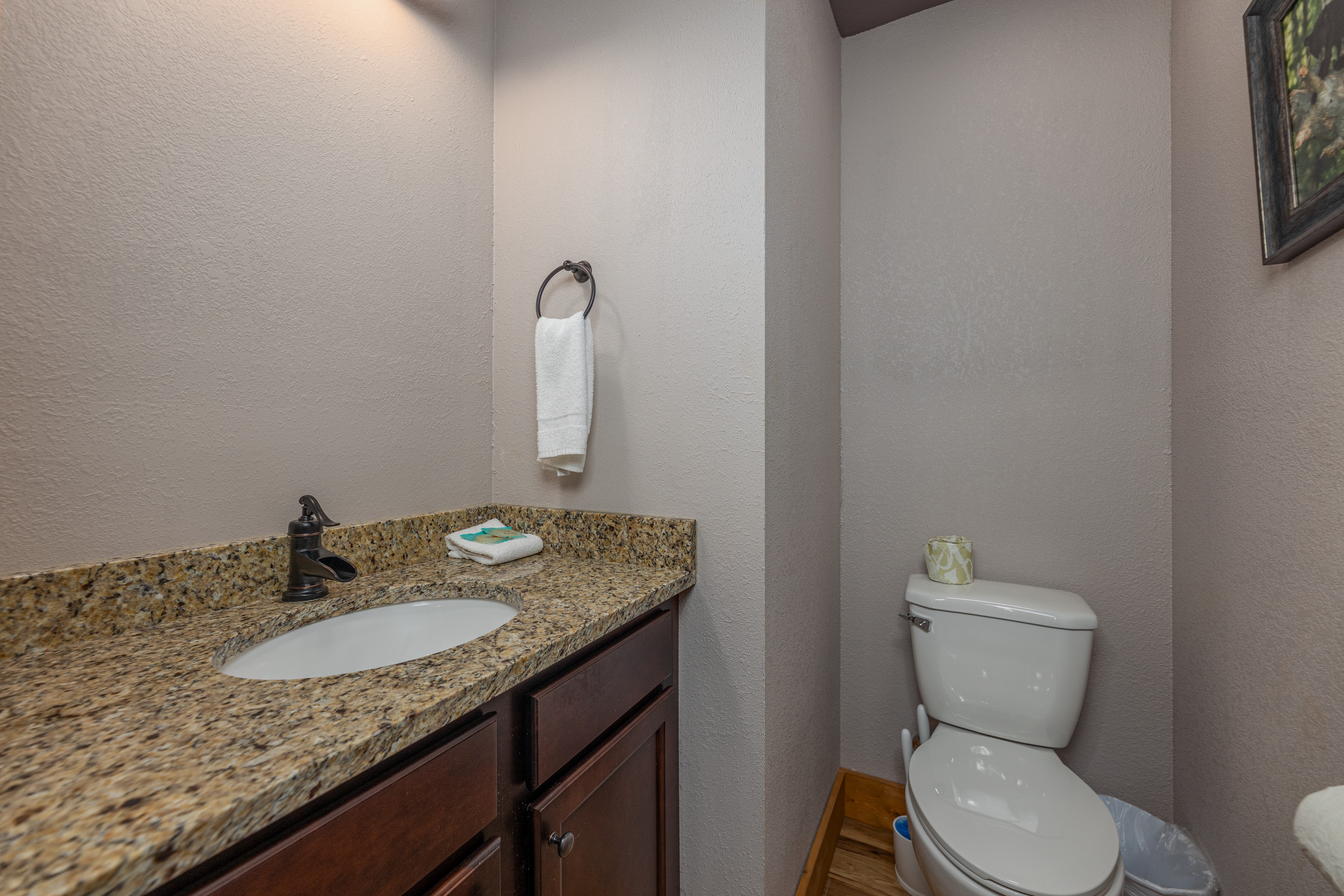 Tennessee Dream | Photo 18