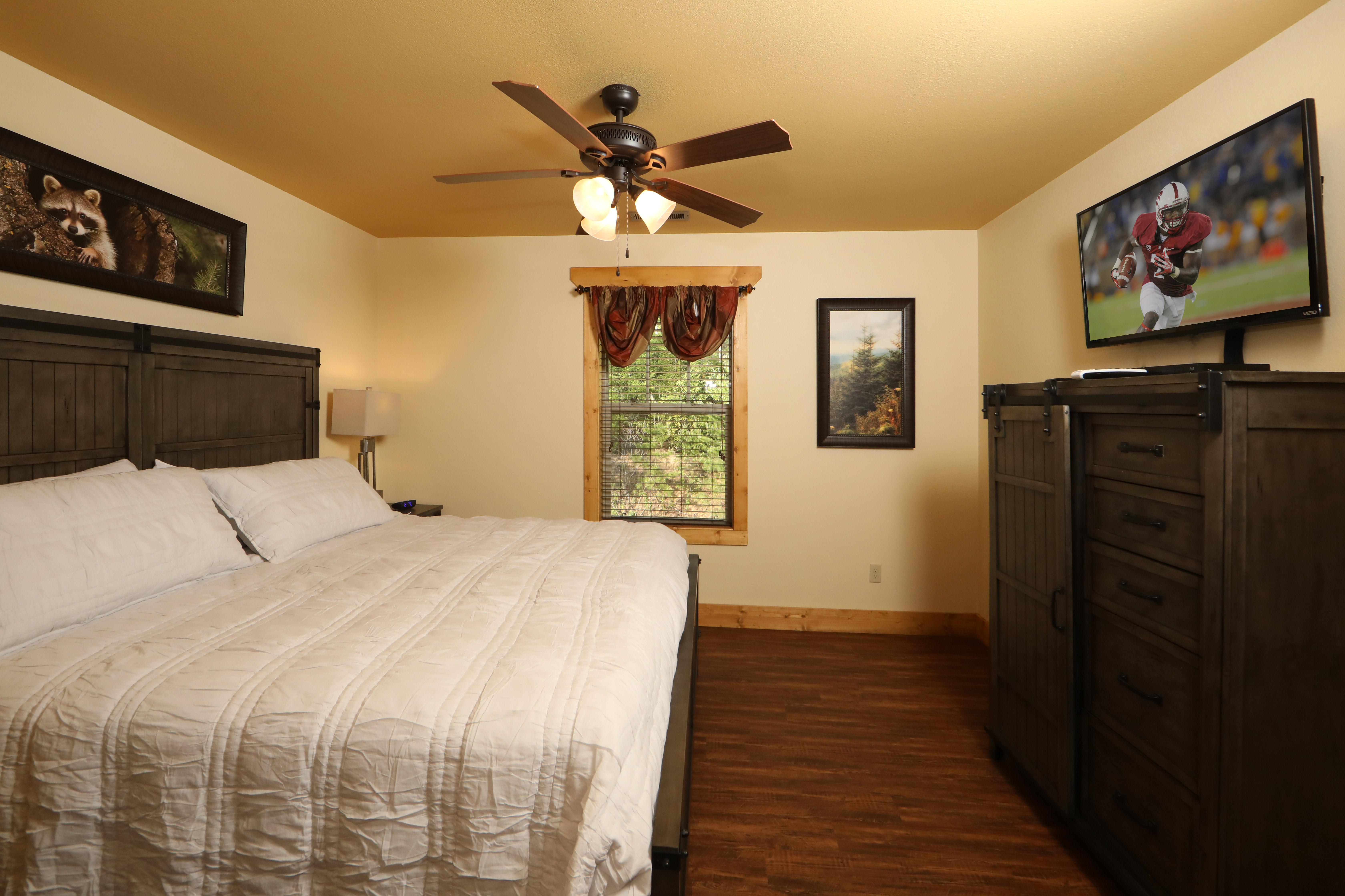 Dive Right In | Photo 28