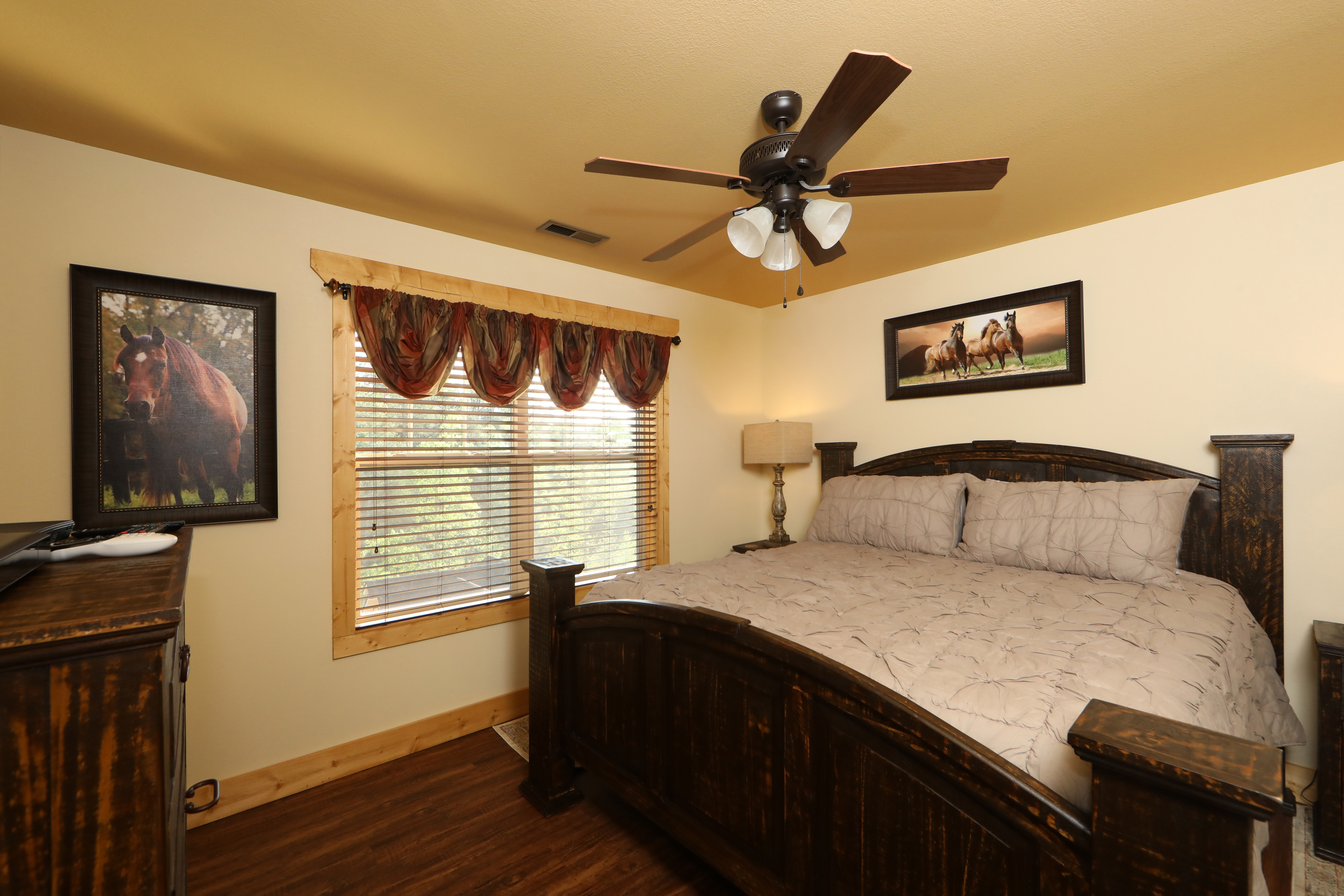 Dive Right In | Photo 21