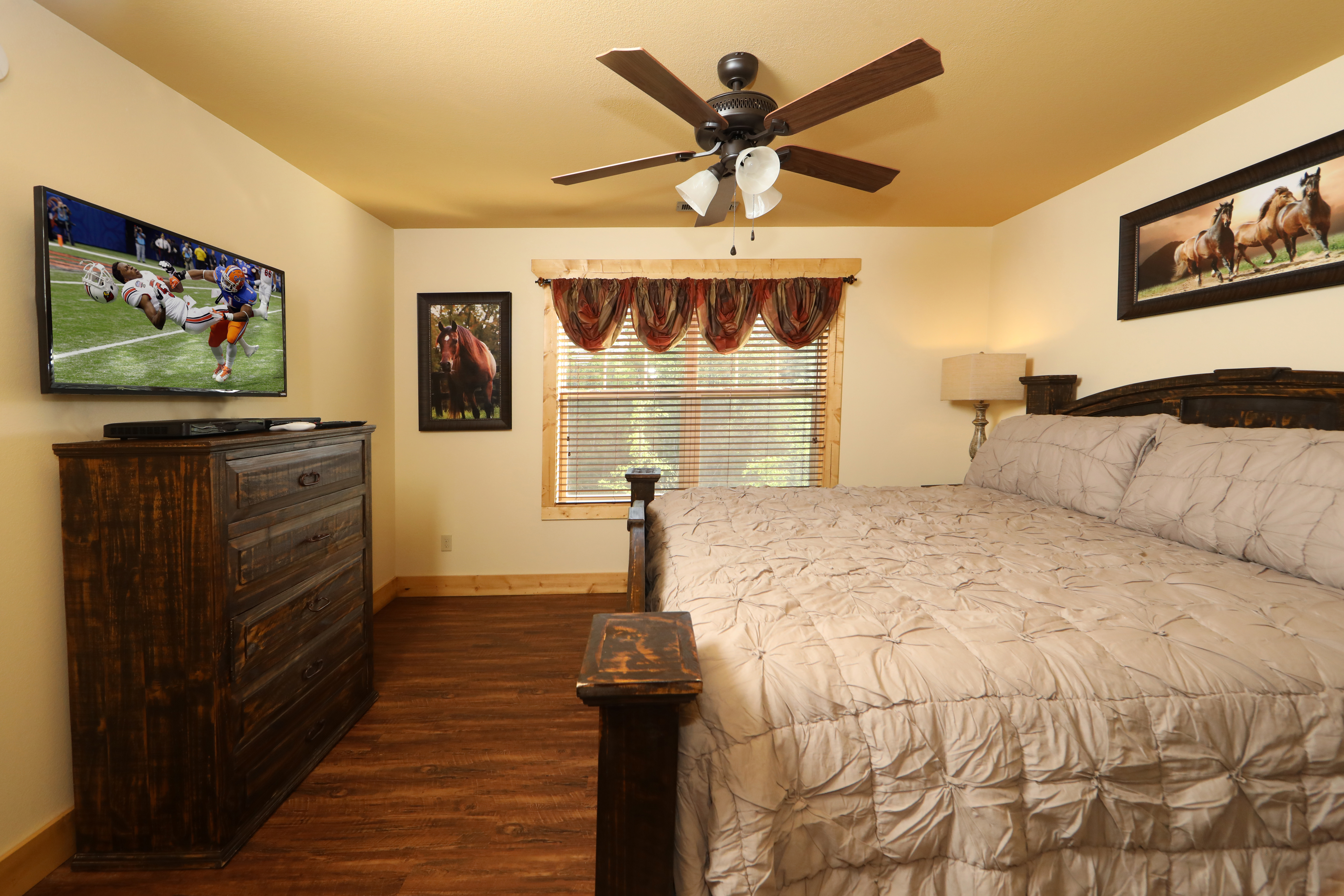 Dive Right In | Photo 29