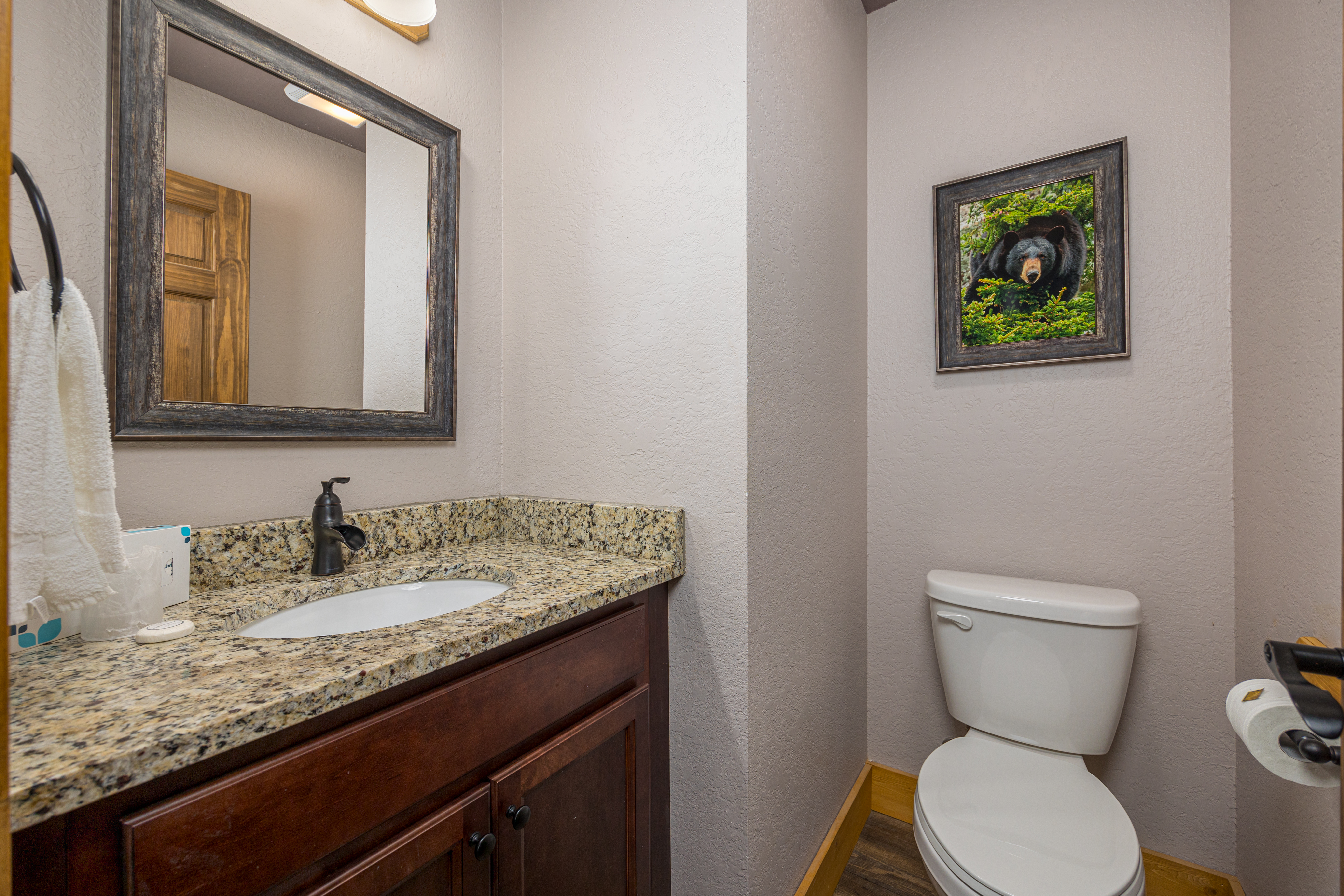 Smoky Mountain Plunge | Photo 31