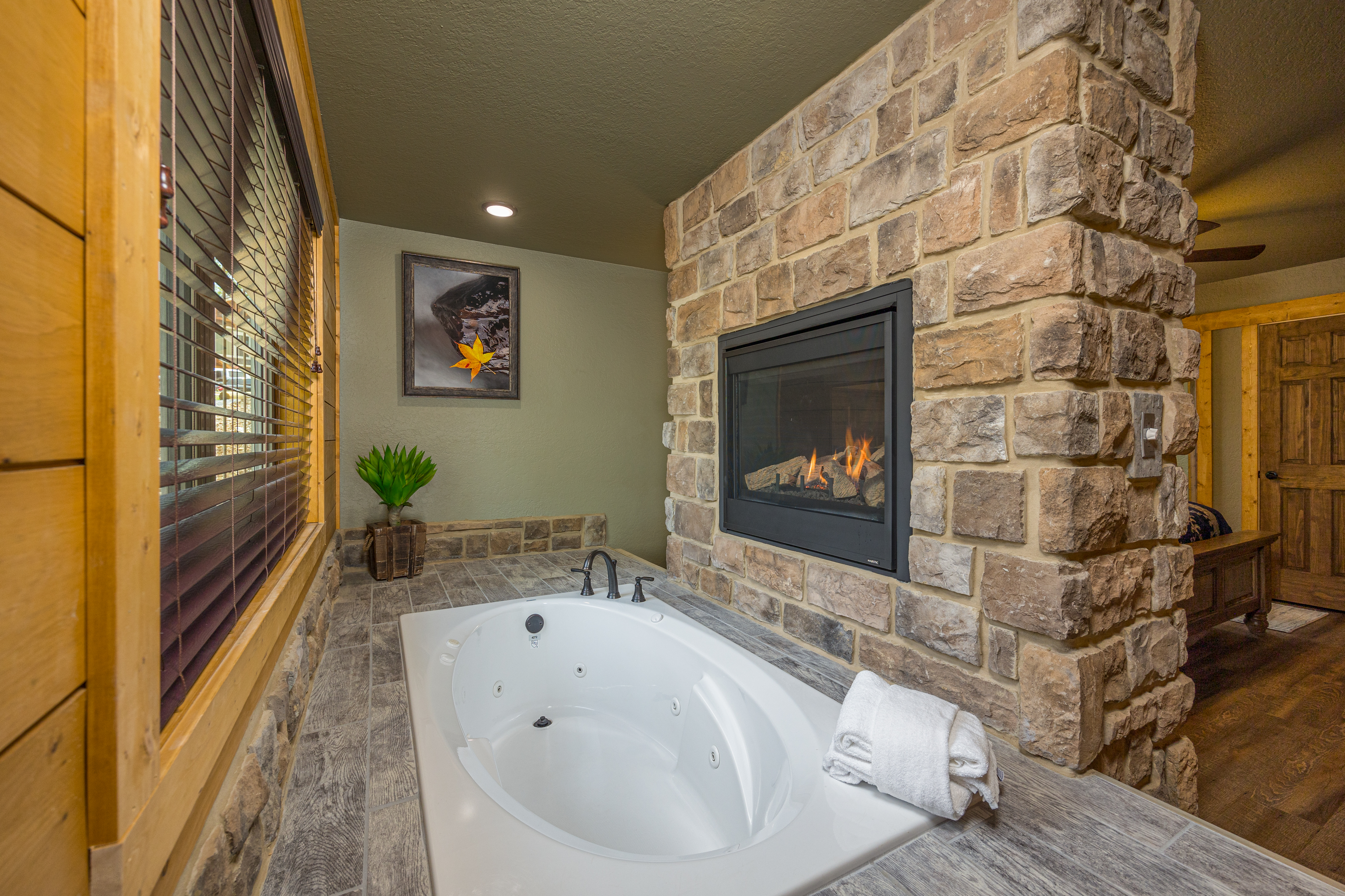 Smoky Mountain Plunge | Photo 15