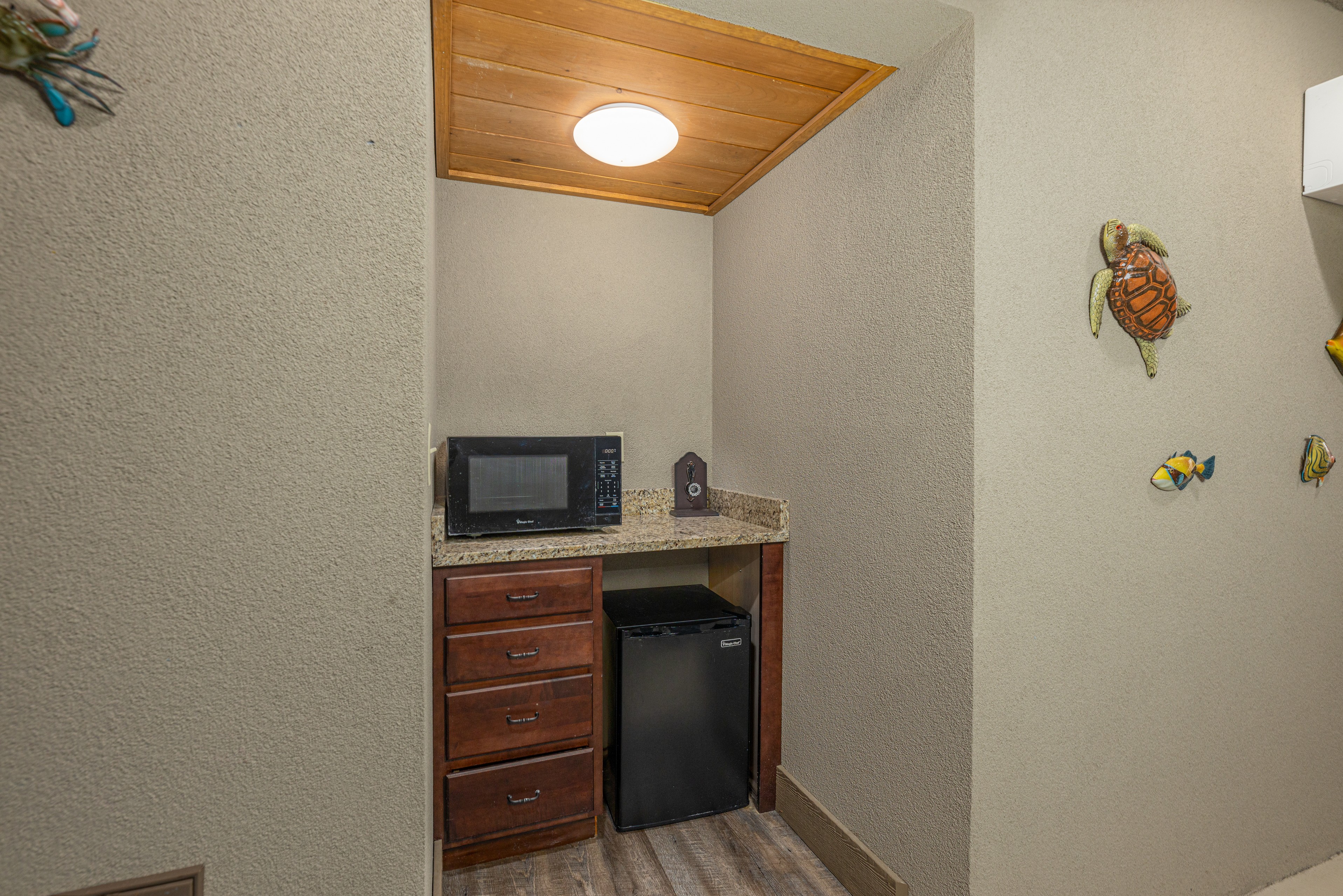 Wet and Wild | Photo 37