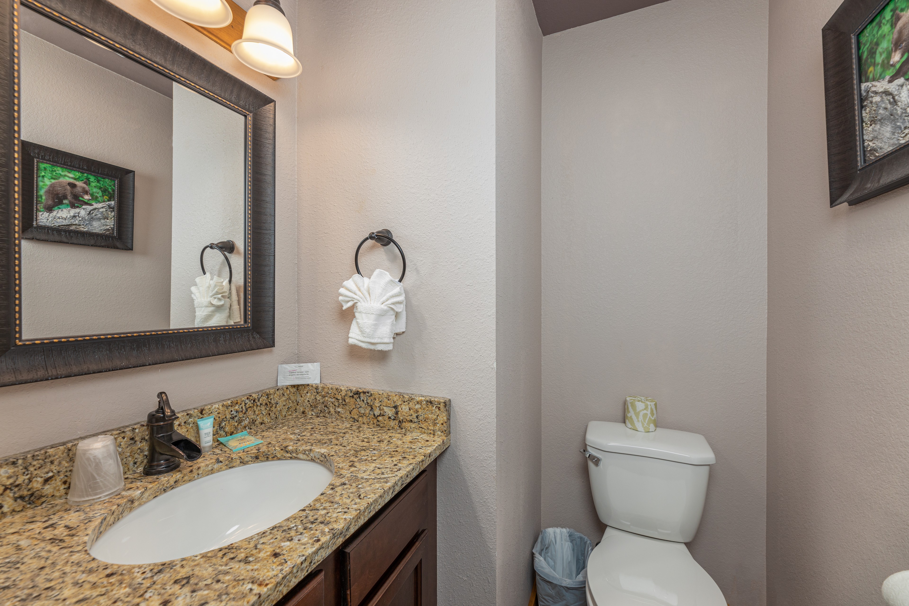 Wet and Wild | Photo 36