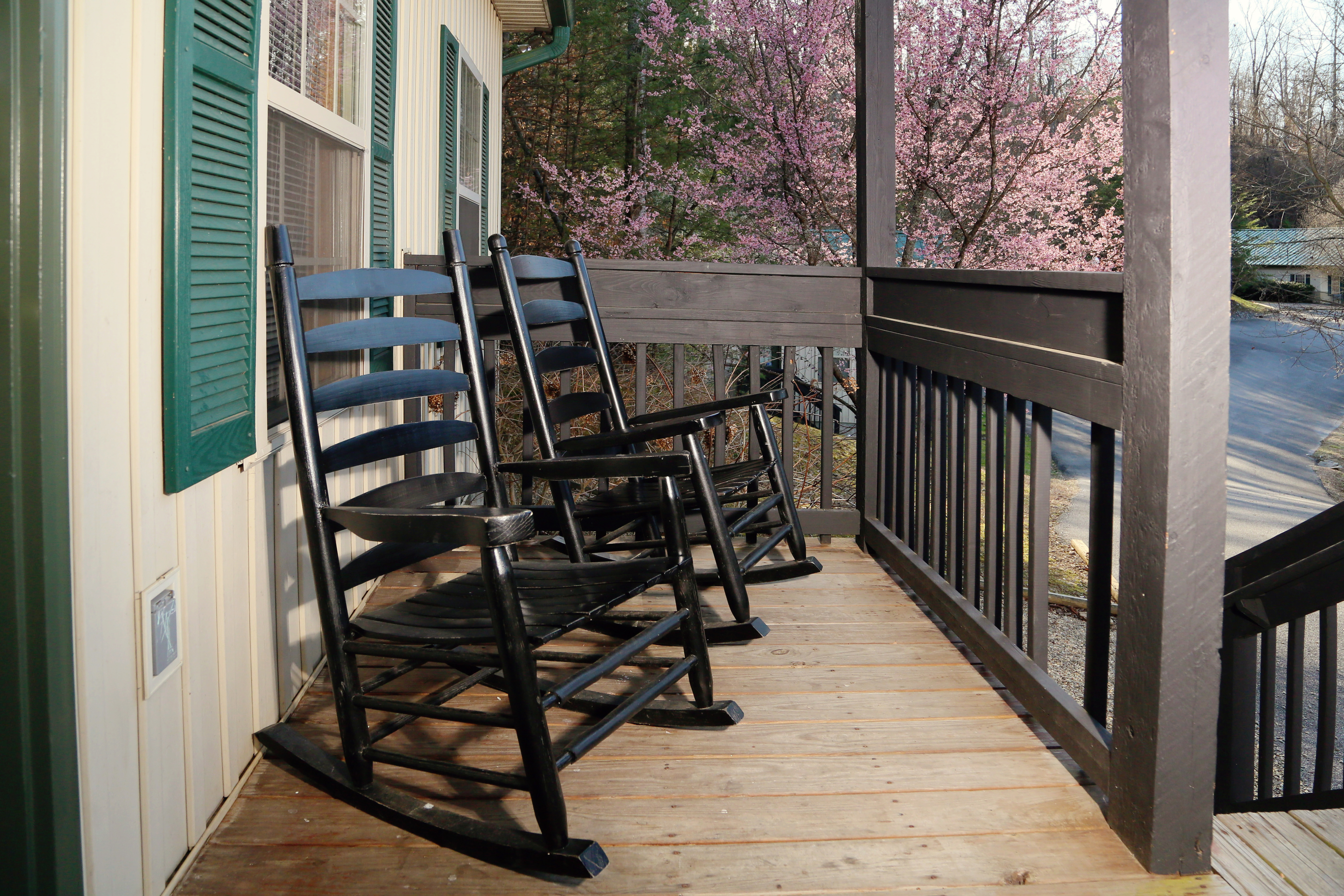 Apple Blossom 10 | Photo 14