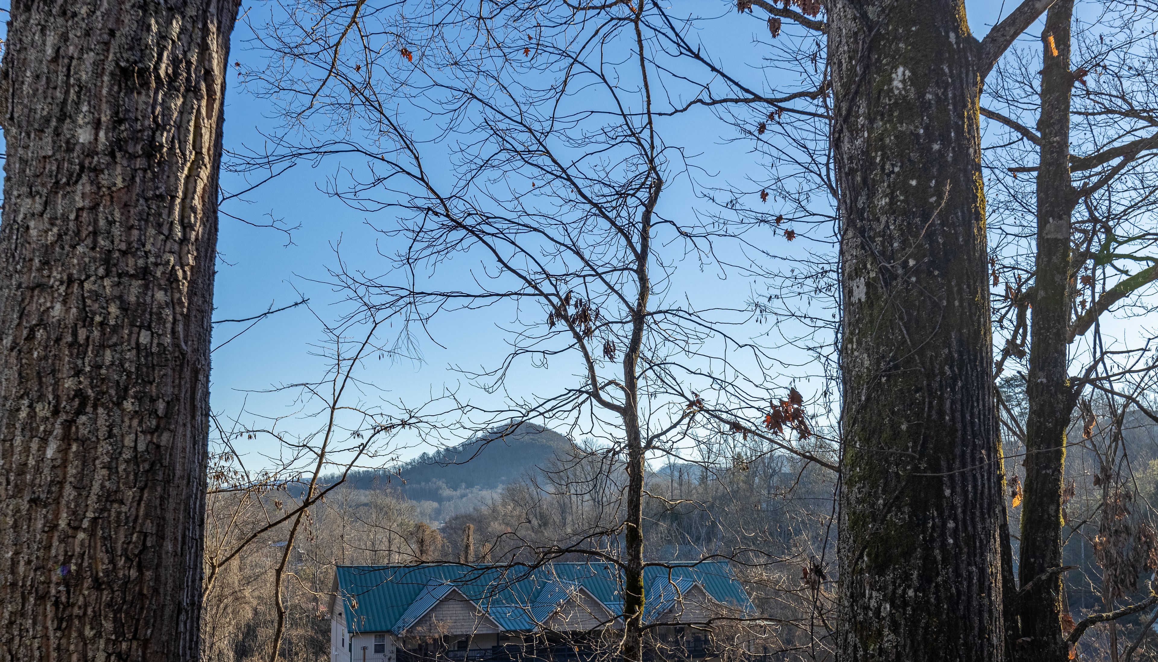 Beautiful Vista | Photo 42