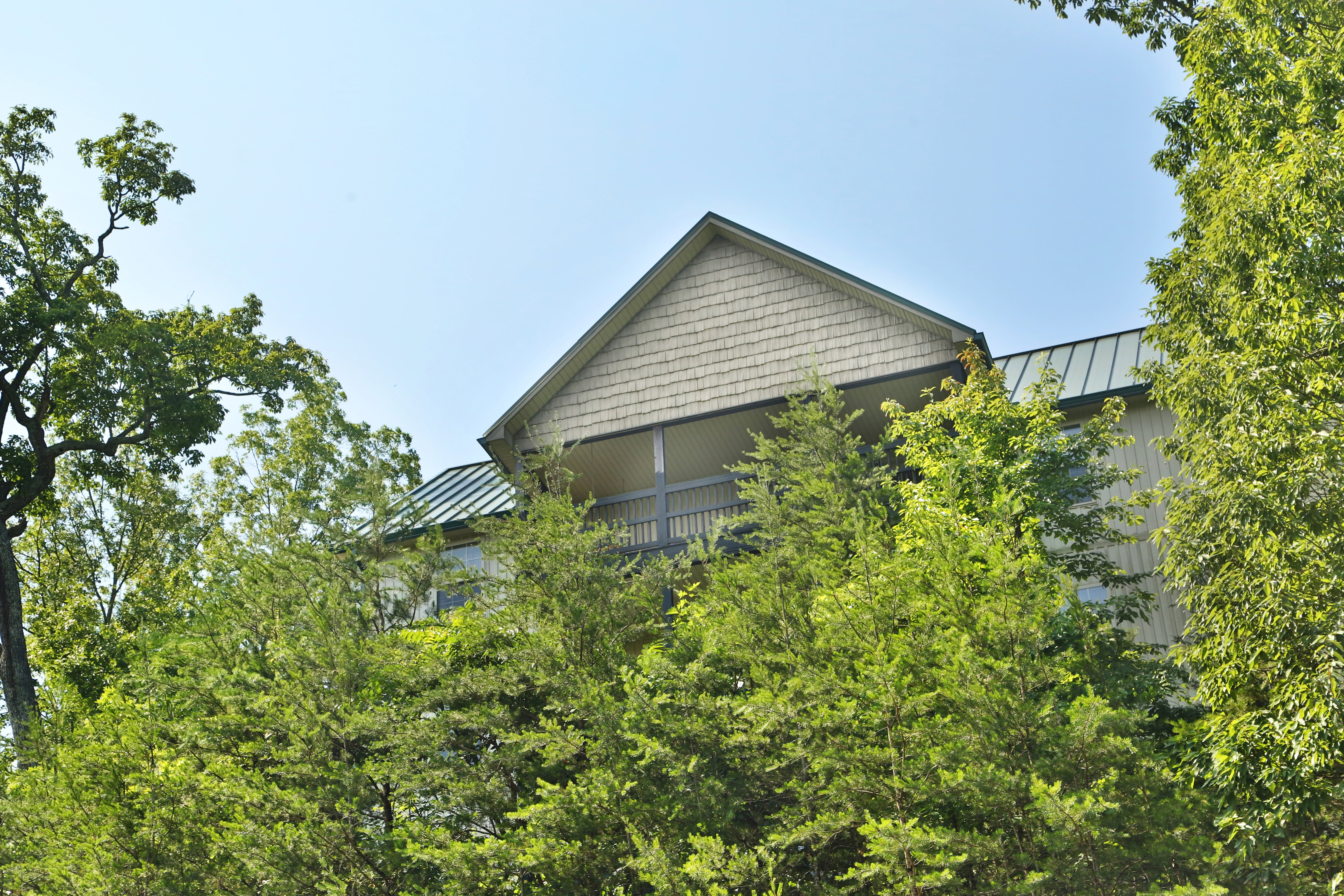 Pinnacle View 7C | Photo 33