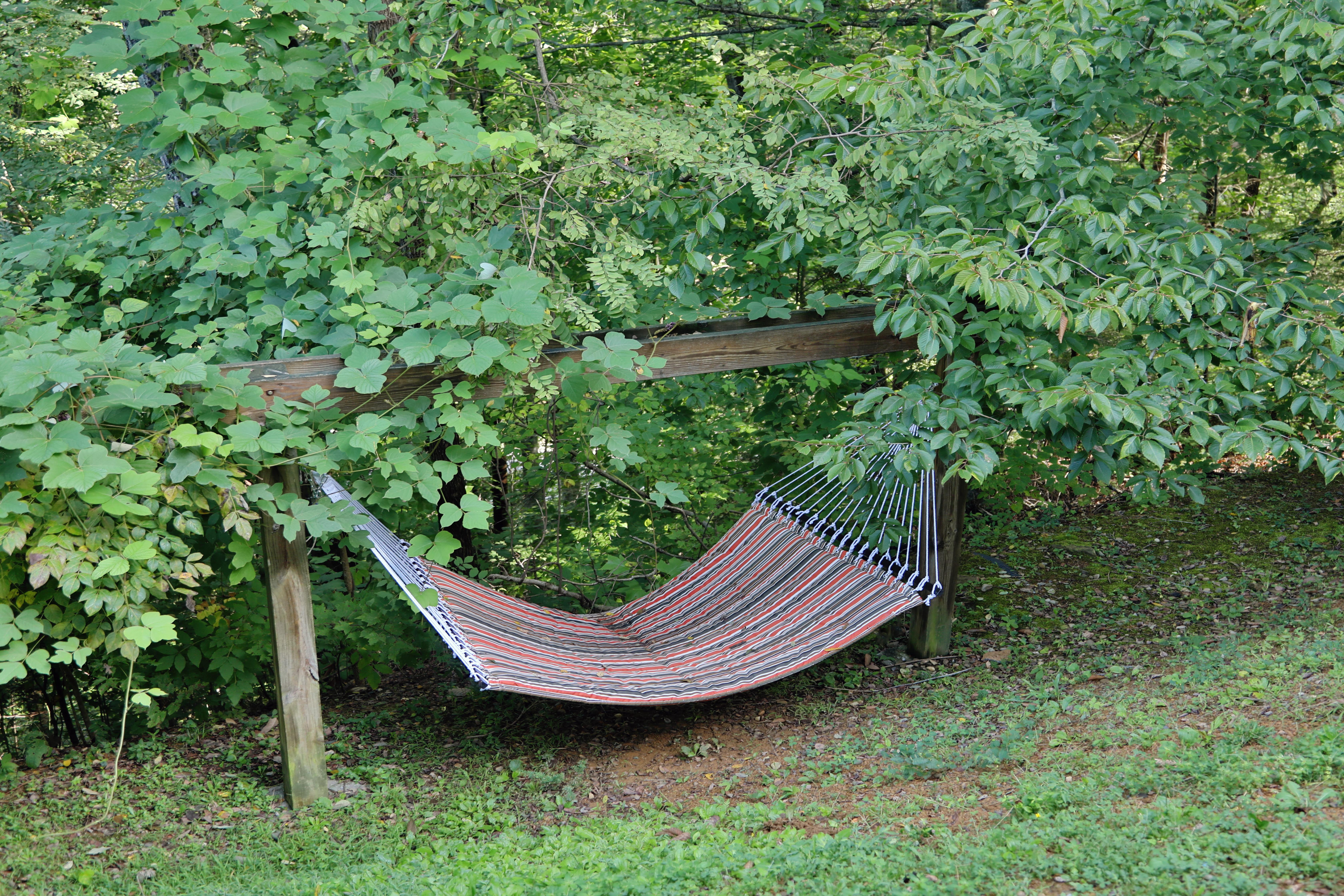 Wallnut Grove | Photo 6