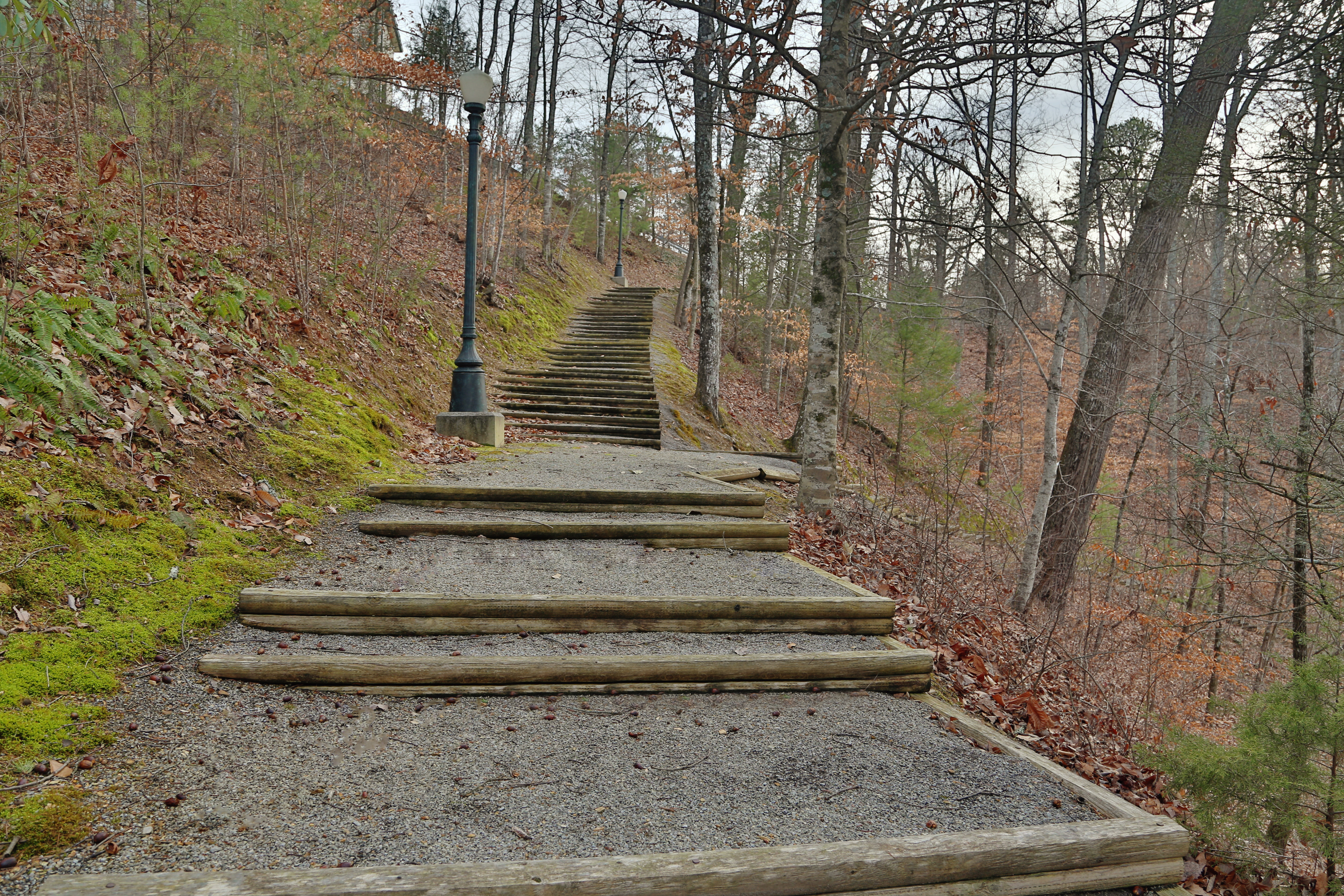 Wildwood Falls | Photo 24