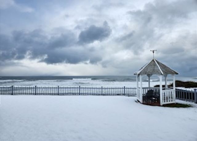 Image Rare Snow storm