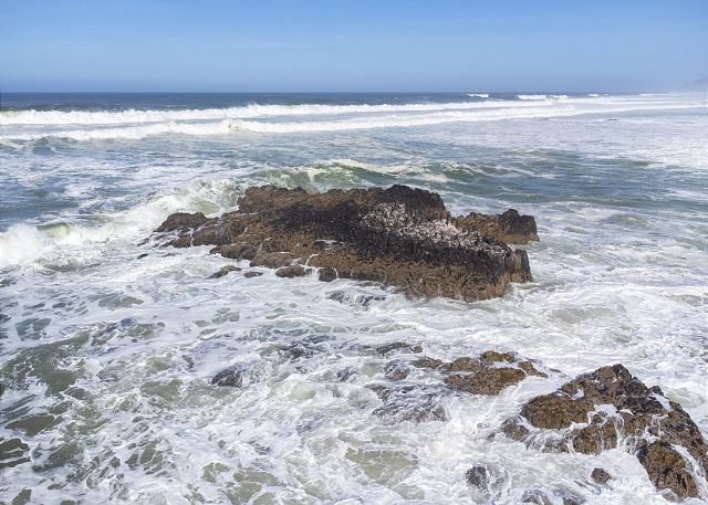 Image Tide Pools when tide is out.