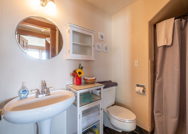 Image Main level bath with shower